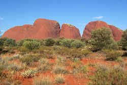 kata tjuta red center