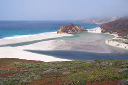 big sur california highway 1