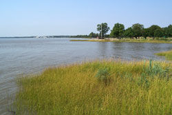 newark delaware river