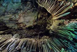 st michaels cave gibraltar