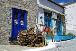 donkey cart hydra greece