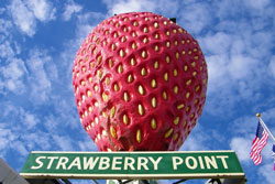 strawberry point iowa giant strawberry