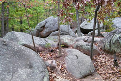 elephant rocks tor