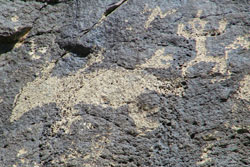 petroglyph national monument petroglyphs