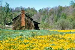 old farmhouse rural north carolina