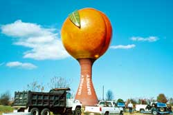 Giant Peach Water Tower, Gaffney South Carolina