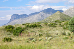 guadalupe mountains el capatan