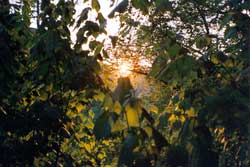 Appalachian National Scenic Trail at Sunset, Bennington, Vermont